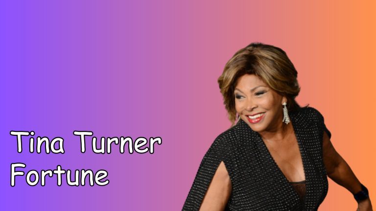 Tina Turner Fortune