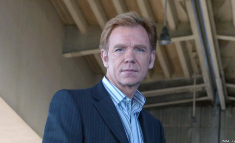 Quelle est la valeur nette et le salaire de David Caruso ?