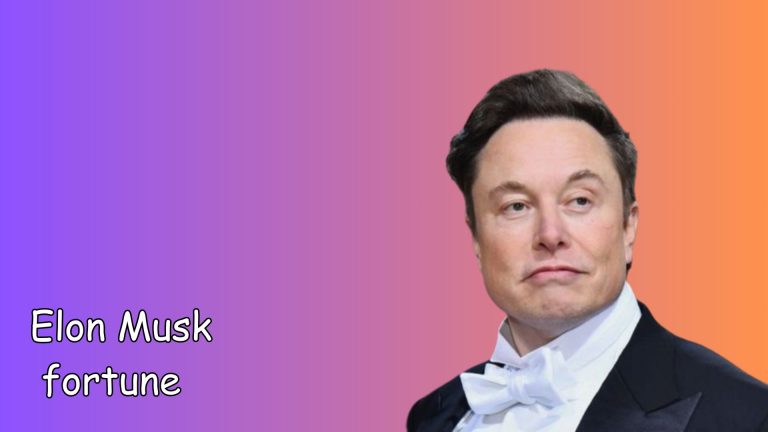 Elon Musk fortune