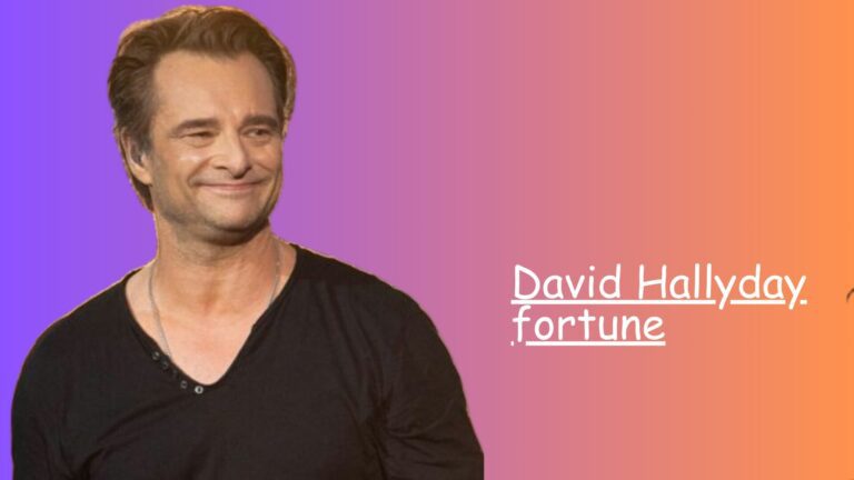 David Hallyday fortune